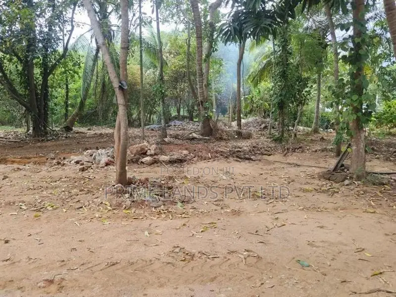 අනුරාධපුර නුවර වැව ආසන්නයෙන් ළගදීම සින්නක්කර බිම්කොටස්