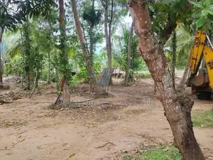 අනුරාධපුර නුවර වැව ආසන්නයෙන් ළගදීම සින්නක්කර බිම්කොටස්
