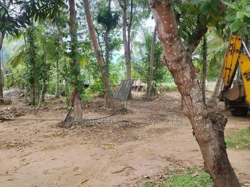 අනුරාධපුර නුවර වැව ආසන්නයෙන් ළගදීම සින්නක්කර බිම්කොටස්