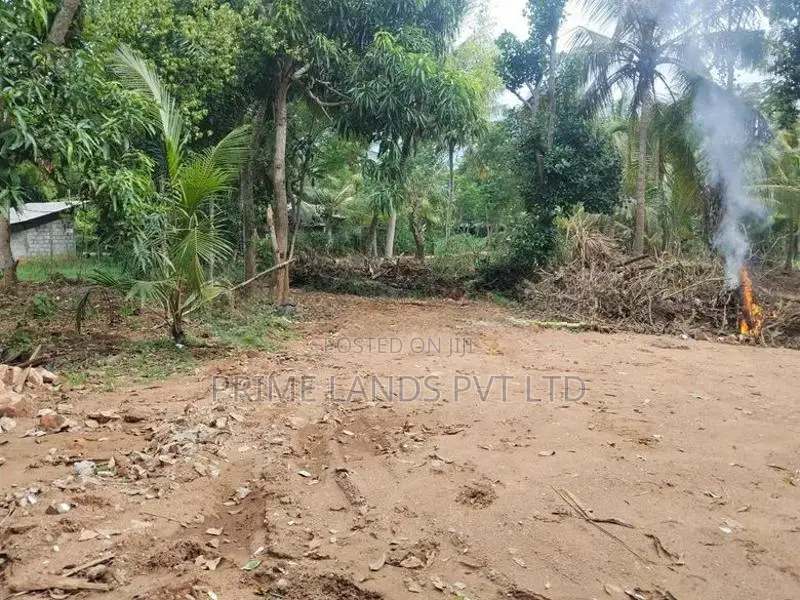 අනුරාධපුර නුවර වැව ආසන්නයෙන් ළගදීම සින්නක්කර බිම්කොටස්