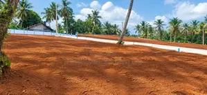 Land For Sale In PAsyala Attanagalla Y 108 Pugoda