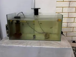 Fish Tanks