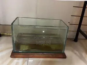Fish Tanks