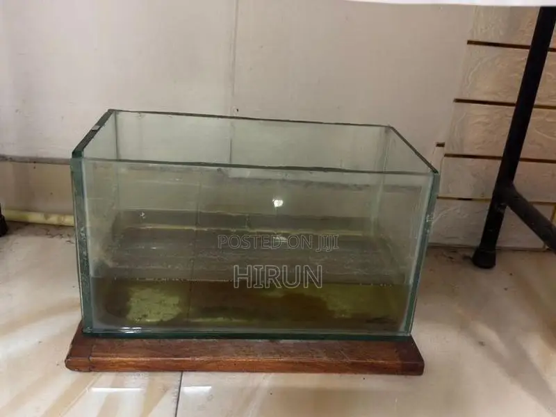 Fish Tanks