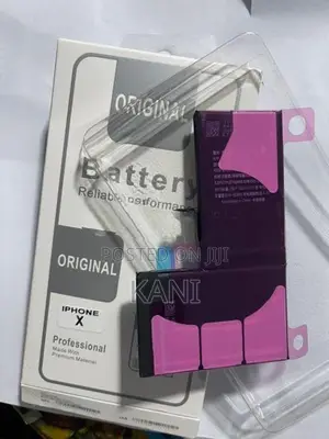 Apple iPhone X Battery