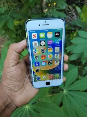 Apple iPhone 8 64GB Zpa (Used)