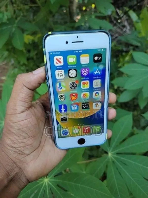 Apple iPhone 8 64GB Zpa (Used)