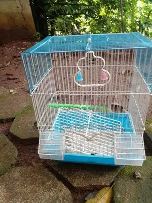 Bird Cages