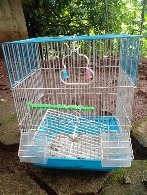 Bird Cages