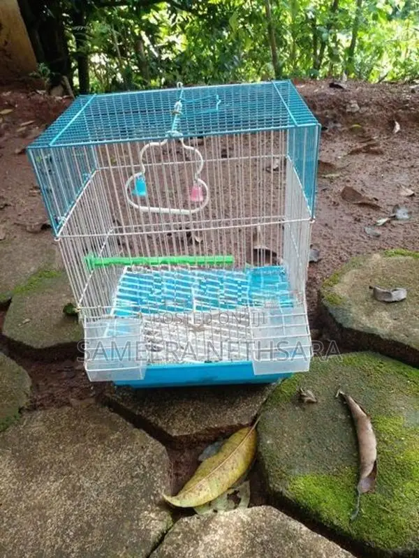 Bird Cages