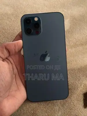 Apple iPhone 12 Pro 256GB (Used)