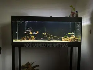 4FT Fish Tank With Stand, Full Accessories
