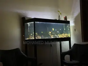 4FT Fish Tank With Stand, Full Accessories