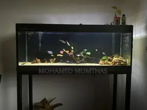 4FT Fish Tank With Stand, Full Accessories