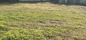 Land For Sale In Colombo 03