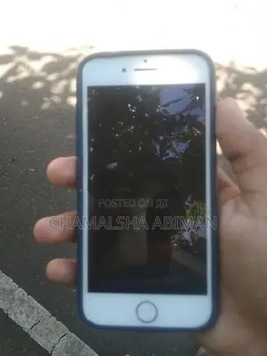 Apple iPhone 7 (Used)