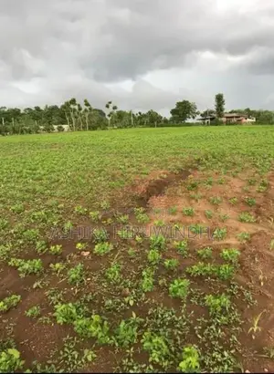 Thanamalwila Land For Sale In Kataragama