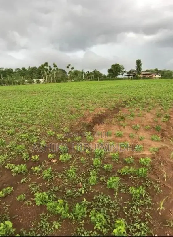 Thanamalwila Land For Sale In Kataragama