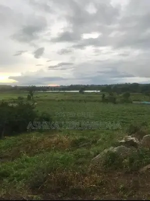 Thanamalwila Land For Sale In Kataragama