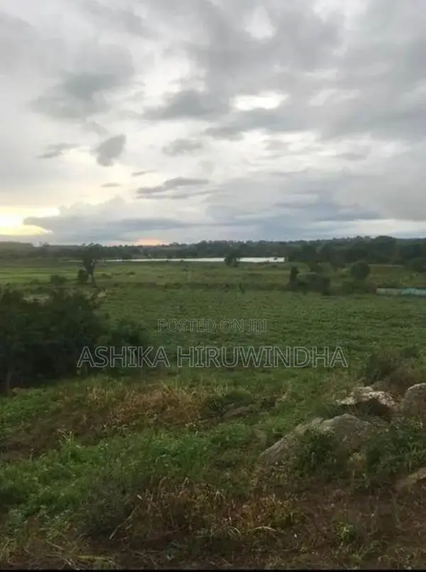 Thanamalwila Land For Sale In Kataragama