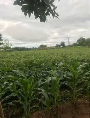 Thanamalwila Land For Sale In Kataragama