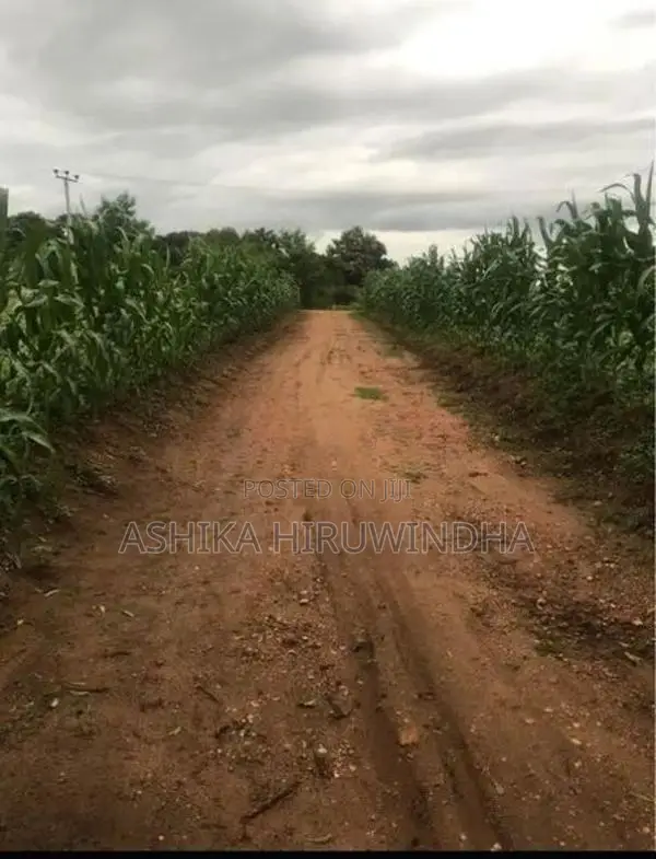Thanamalwila Land For Sale In Kataragama