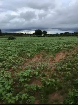 Thanamalwila Land For Sale In Kataragama