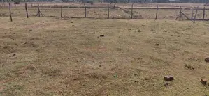 Land for Sale Kinniya