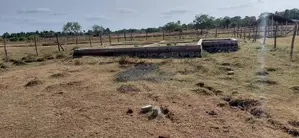 Land for Sale Kinniya