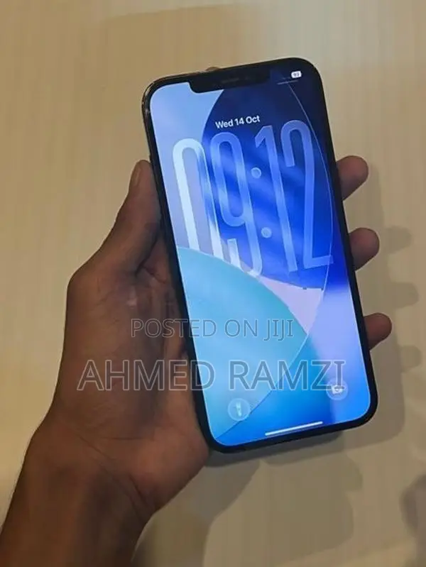Apple iPhone 12 Pro Max (Used)