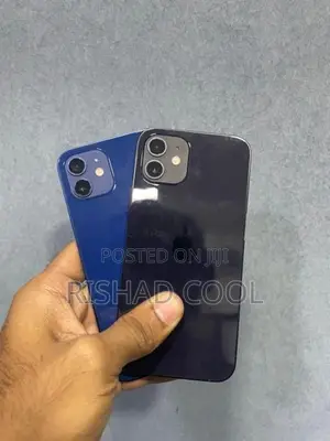 Apple iPhone 12 (Used)