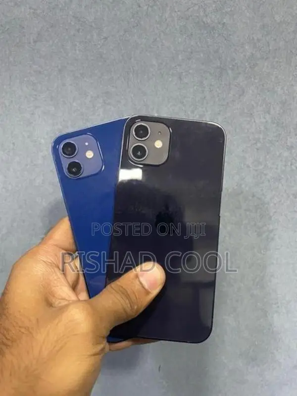 Apple iPhone 12 (Used)