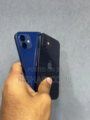 Apple iPhone 12 (Used)