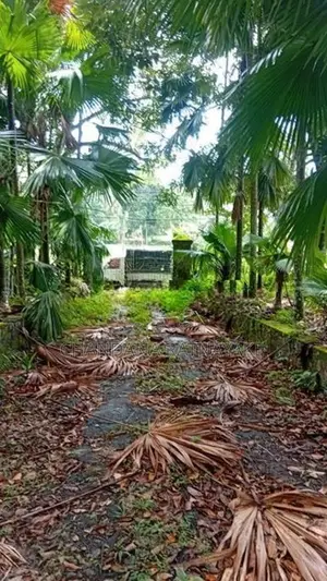 Land with House for Sale Kalagedihena