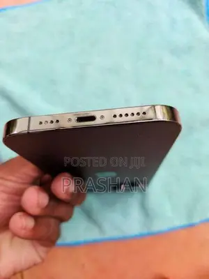 Apple iPhone 13 Pro Max (Used)