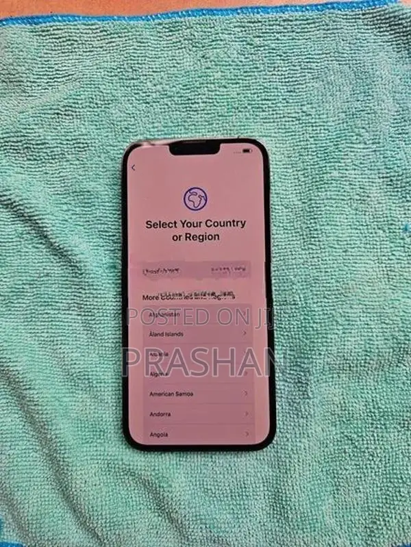 Apple iPhone 13 Pro Max (Used)