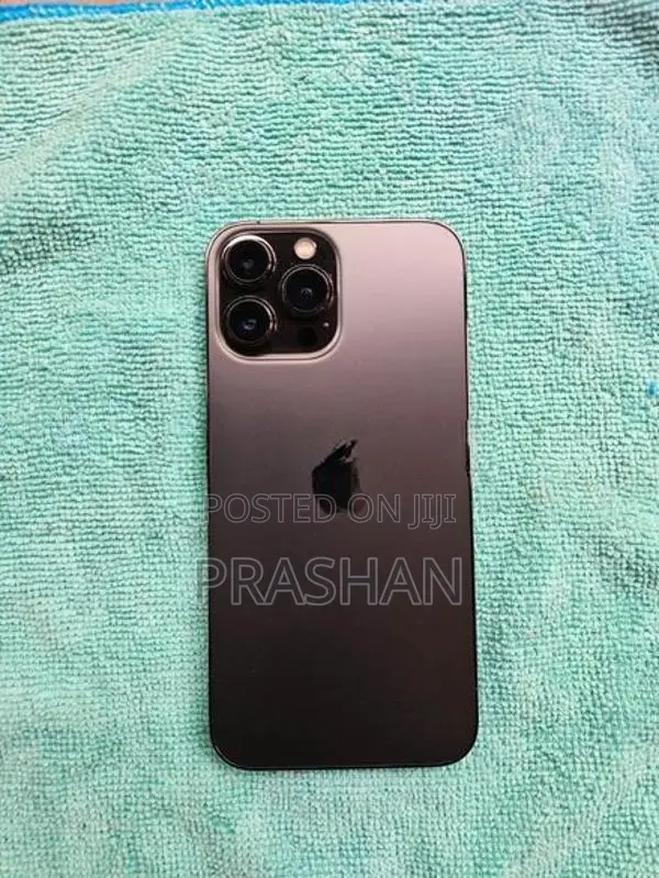 Apple iPhone 13 Pro Max (Used)