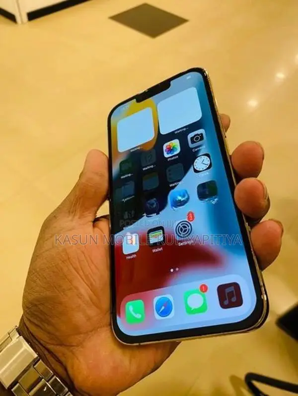 Apple iPhone 13 Pro Max (Used)