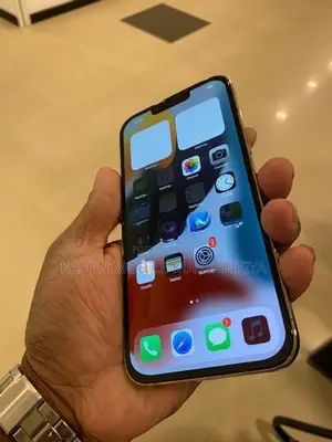 Apple iPhone 13 Pro Max (Used)