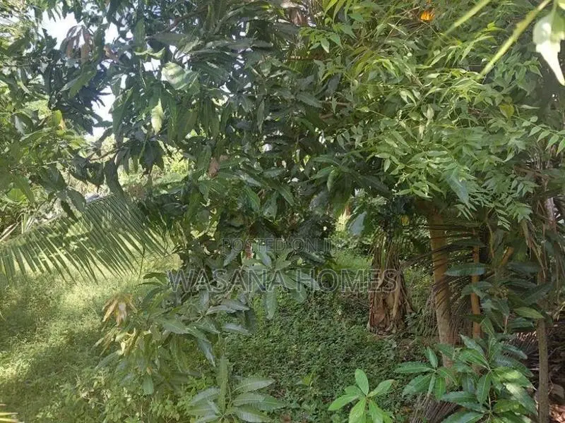Land For Sale Borelesgamuwa In Boralesgamuwa