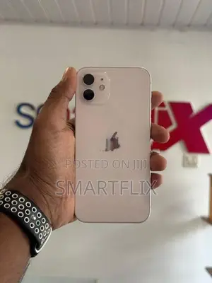 Apple iPhone 12 (Used)