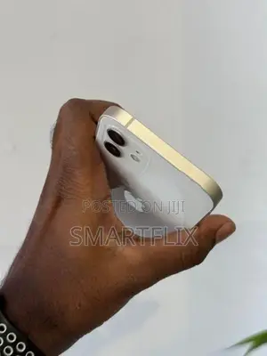 Apple iPhone 12 (Used)
