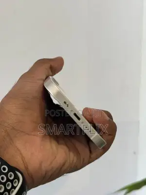 Apple iPhone 12 (Used)
