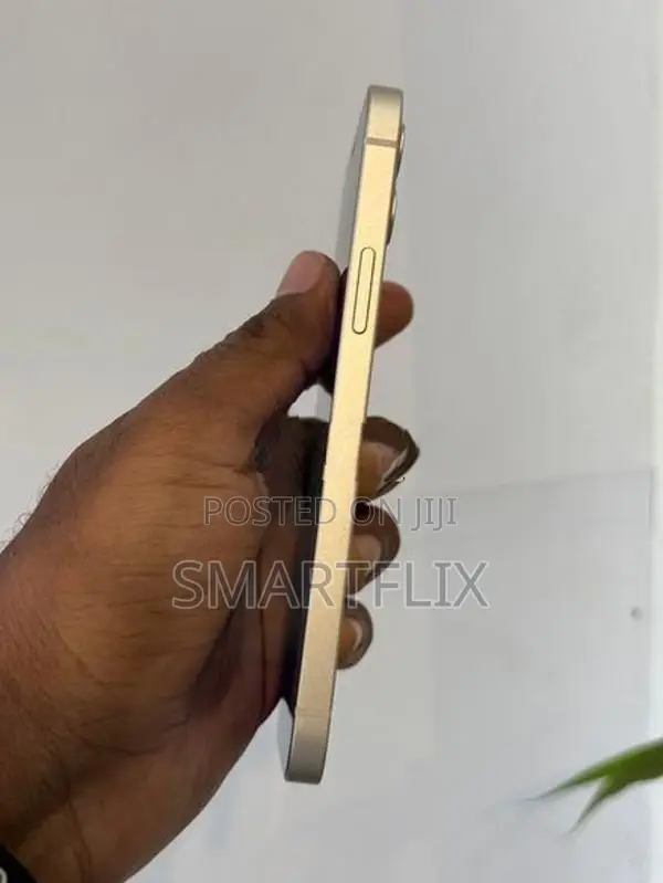 Apple iPhone 12 (Used)