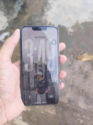 Apple iPhone 13 Pro (Used)