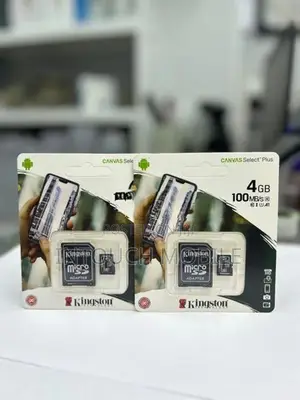 Micro SD Card 4GB