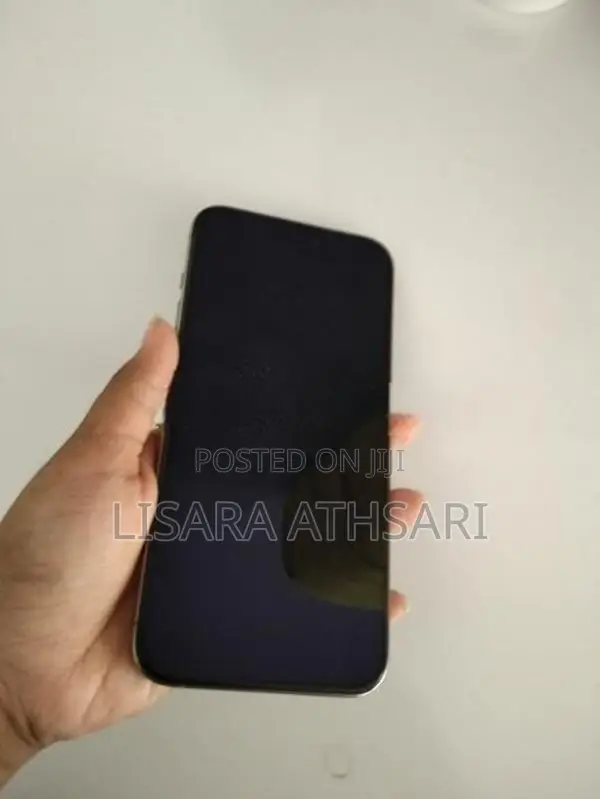 Apple iPhone 15 Pro Max (Used)