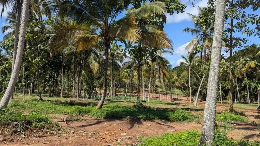 කුරුණෑගල මල්ලවපිටියෙන් ඉඩමක් විකිණීමට
