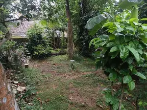 ජාඇල, කොටුගොඩ (ඕපාත) ඉඩම