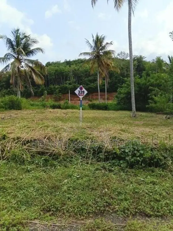 නාරම්මල කොළඹ 05 මාර්ගයට අසන්නයෙන් ඉඩමක් විකිණීමට